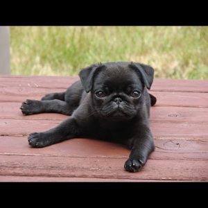 Meet your Posher, Carlos